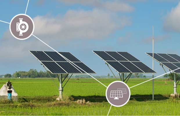 Global Semiconductor Firm Infineon Supports Ecosystem Development In Green Agriculture