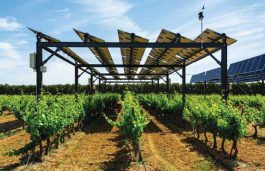 Servotech, Smart Power India to Create Solar Ecosystem in Rural India