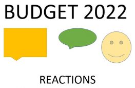 Budget 2022. Domestic Manufacturers Smile, Rest Stay With Wait And Watch