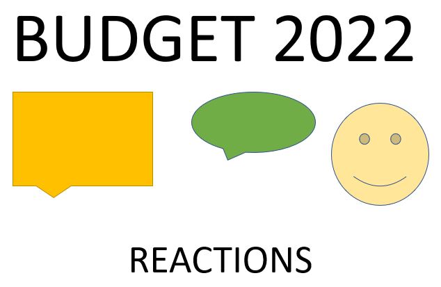 Budget 2022. Domestic Manufacturers Smile, Rest Stay With Wait And Watch