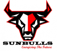 Sunbulls Future Energies Pvt. Ltd.