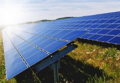 GUVNL Issues Tender For 500 MW Non-Park-based Solar Power Projects