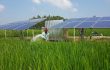 Global trailblazers offer inclusive off-grid solutions