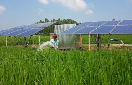 Two Indian Agri-energy Organisations Make It To Shortlist For Ashden Awards