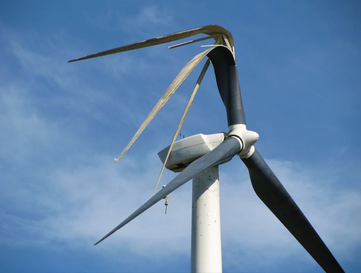 Researchers Develop Hurricane Resistant Wind Turbines Based On Palm Tree Structure