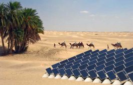 Electrolux, SolarizEgypt to Cooperate In Solar Sector in Egypt