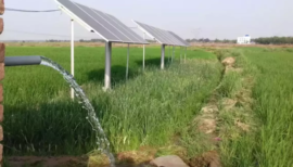 Punjab to Solarize One Lakh Electric Agricultural Tubewells