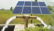 Maharashtra Aims For 200K Solar Water Pumps By 2025