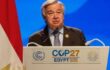 The Top 5: Expectations From COP 27