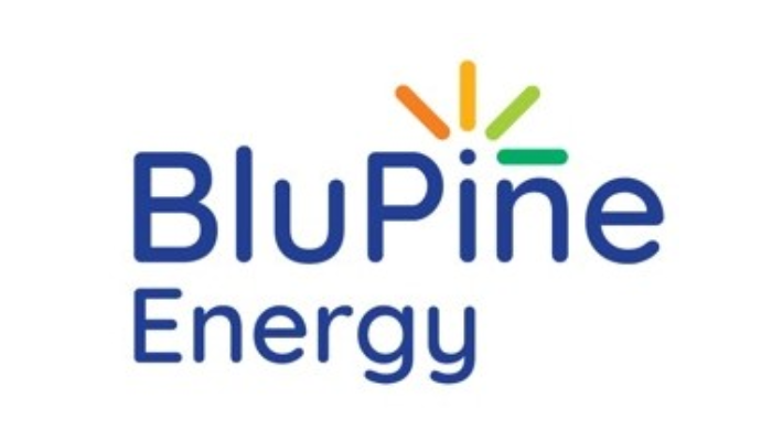 BluPine Energy Acquires 369 MW Solar Assets From Acme Group