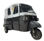 Electric Three-Wheelers Better Suited For Freight Delivery: WRI Report 