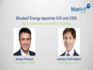 Blueleaf Energy Onboards Anand Prakash as CIO & Amiram Roth-Deblon as COO
