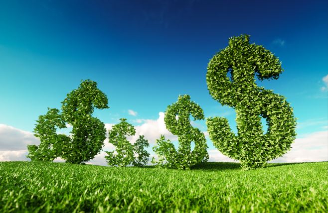 Govt Releases Draft Norms For Green Credit Programme
