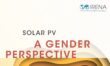 Solar PV Employs More Women Than Other Renewable Energy Options