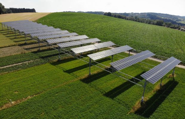 Croatia Sets the Ball Rolling for its First Agrisolar Power Plant