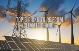 The Top 5: Risks to Renewable Energy from Climate Change