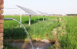 Solar Feeders Promise To Fulfil Solar Targets in Agriculture