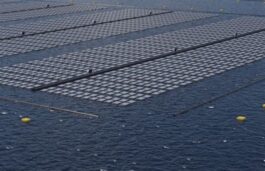 SJVN Looks To Invest Rs 1300 Cr On Floating Solar In Goa