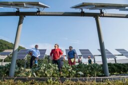 Five Reasons That Make Agrisolar Significant To The World