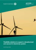 Flexible Energy Solution Key Towards Decarbonization: EEA