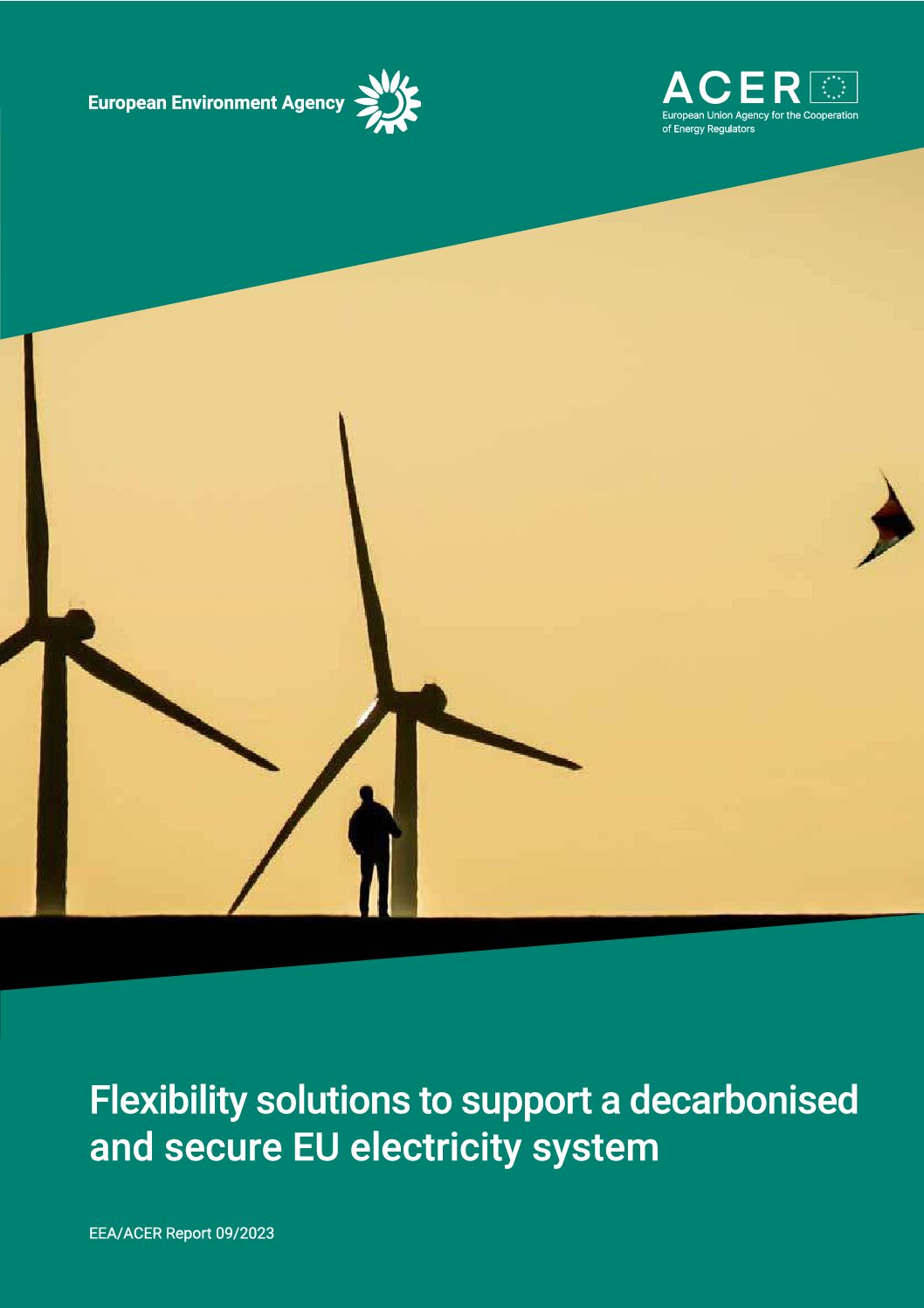 https://img.saurenergy.com/2023/10/1-flexibility-solutions-to-support-a-decarbonised-and-secure-eu-electricity-system-pdf.jpg