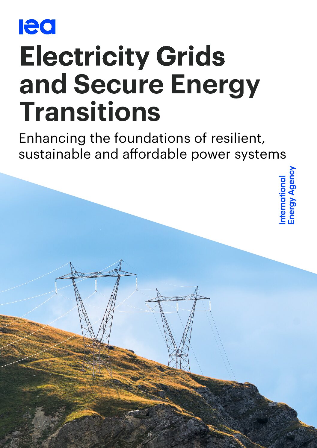 https://img.saurenergy.com/2023/10/profile-electricity-grids-and-secure-energy-transitions-pdf.jpg
