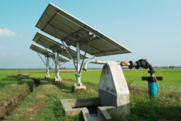 Shakti Pumps Empaneled For 50,000 Solar Pumps In Maharashtra