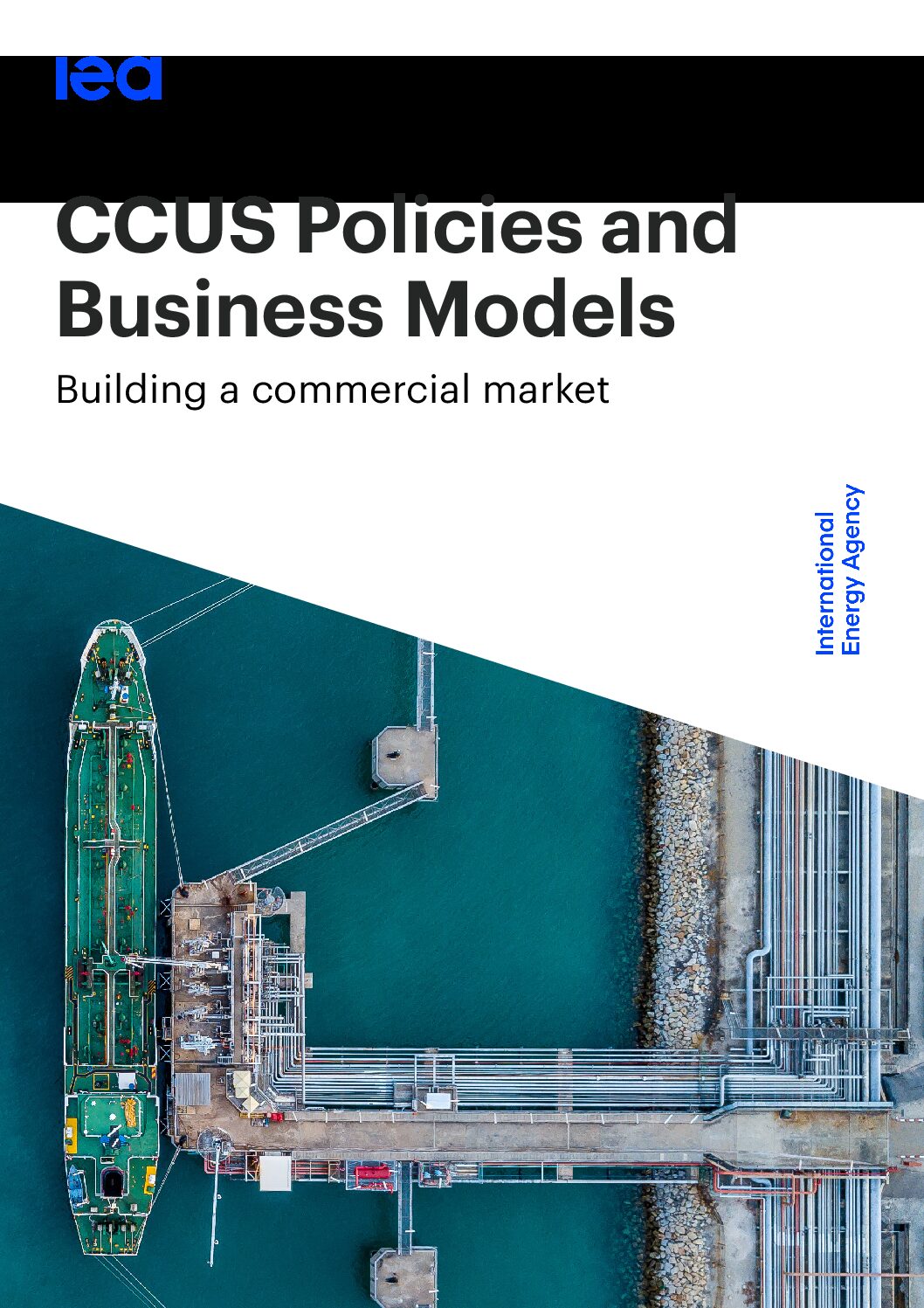 https://img.saurenergy.com/2023/12/ccus-policies-and-business-models-profile-pdf.jpg