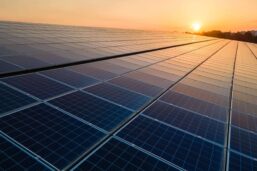 Solar Faces Challenges in Procurement, Supply Chain Strategy: Rystad