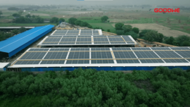 GoodWe Partners With Sunprime For Solar-Powered Smart Cowshed