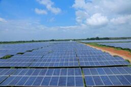 NTPC REL Sets Sights on Procuring Land for 800 MW Solar Projects