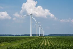 AM Green, Envision Energy Join Hands For Wind, Green H2 Projects