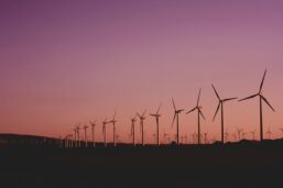 Adani Electricity Invites Bids For 600 MW Wind Project Across India