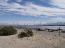 Arevon Inks Deal With San Diego Community Power For Avocet Energy Storage