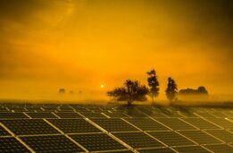 MSEDCL Approves Maharashtra’s Procurement Of 7,783 MW Solar Energy