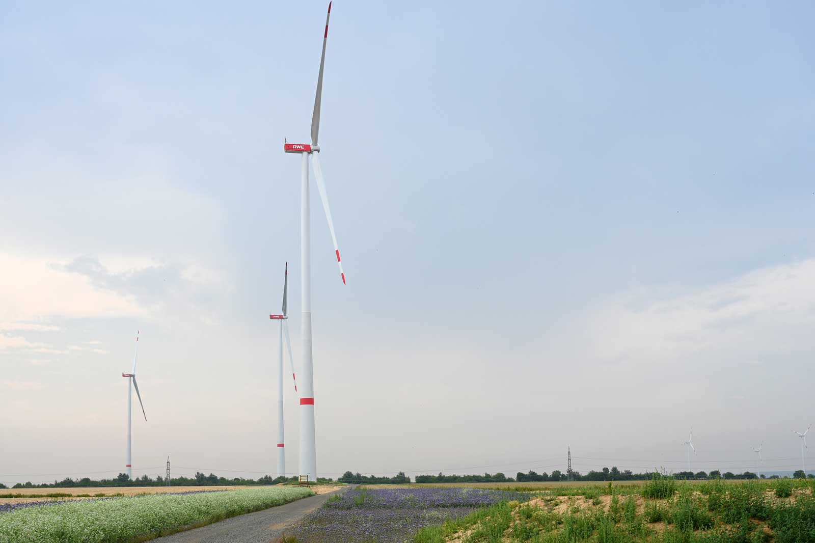 RWE Begins Construction of Aldenhoven Wind Farm In West Germany