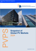 Global PV Cumulative Capacity Rose To 1.6 TW In 2023: IEA