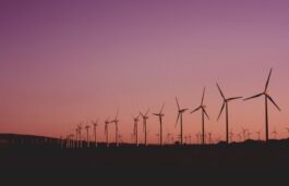 Wind Capex To More Than Double To Rs 1.8 lakh Crore By Fiscal 2028