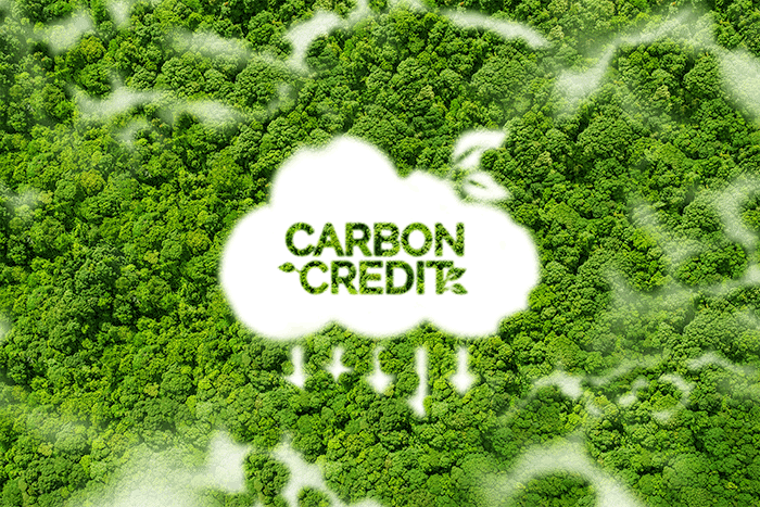 Carbon Credit Market to Soar: From $267.8 Billion to $1.2 Trillion by 2029