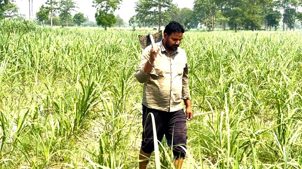 Ranjit Singh, a sugarcane farmer in Lakhimpur, Uttar Pradesh.