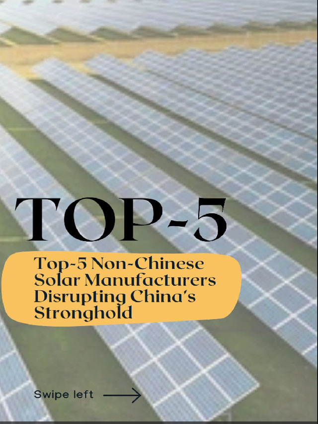 https://img.saurenergy.com/2024/08/top-5-non-chinese-solar-manufacturers-disrupting-china-stronghold.jpg