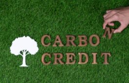 NGEL Invites Bids For Sale Of 100,000 Carbon Credits From RE Project