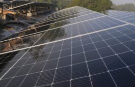 Apraava Energy Secures 300 MW Solar Project From NTPC In Rajasthan