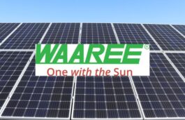 Waaree Appoints Amit Paithankar CEO Of Indosolar