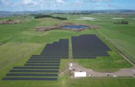 Trinasolar, Kiwi Solar & Trilect Partner For Agrivoltaics Project In New Zealand