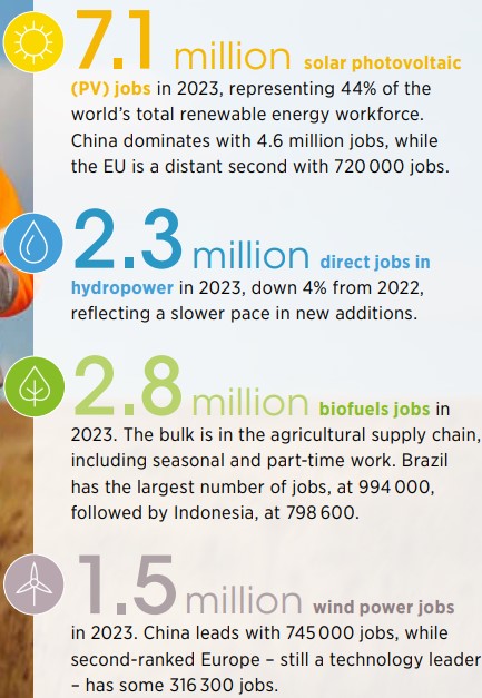 Renewable jobs by category 2023