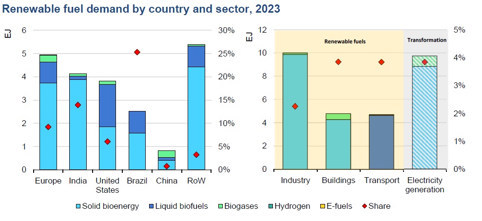 Renewable fuel demand by country and sector, 2023