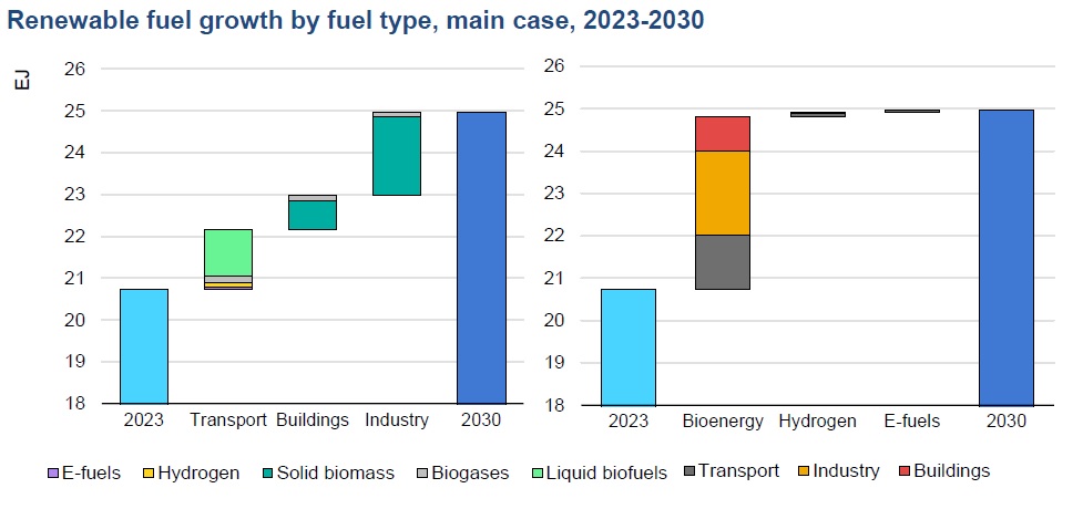 Renewable fuel growth by fuel type, main case, 2023-2030