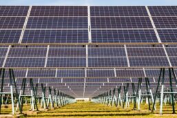 Sungrow Partners For One Of The America’s Largest Solar Projects