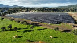 Trina Solar, EGO Sign Pact To Boost Utility-Scale Projects In Italy